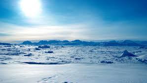 Arctic.jpg